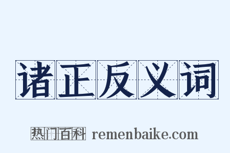 诸正反义词是什么意思的图片